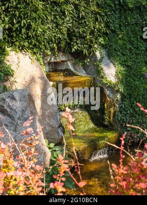 Vue à travers les buissons rouges sur la fontaine de cascade au milieu de verdure rampant avec de beaux jeux de lumière et d'ombre dans le parc Sofiyivka, Uman. Banque D'Images