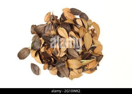 Pile de feuilles de mûres séchées isolées sur fond blanc. Vue de dessus Banque D'Images