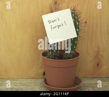 Feuille de papier pour notes avec inscription 'Don't Forget!' feuille épinglée sur un pic de cactus Banque D'Images