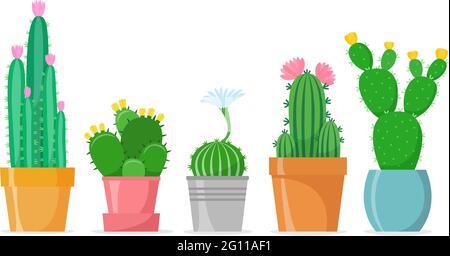 Ensemble de cactus fleuri de style plat. Différents cactus à la maison dans des pots. Maison en fleurs succulents. Vecteur isolé Illustration de Vecteur