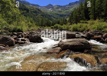 Rivière haute montagne avec fond de montagnes Banque D'Images