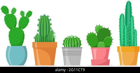 Cactus dans un style plat. Différents cactus à la maison dans des pots. Maison succulents. Illustration vectorielle Illustration de Vecteur