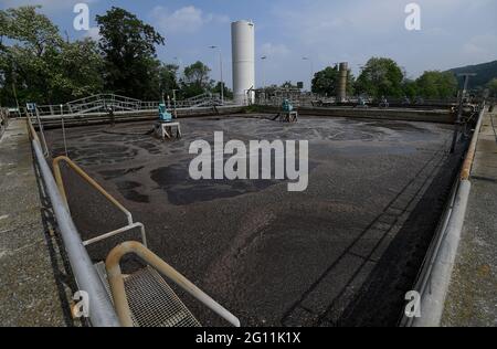 A L'ATTENTION DES ÉDITEURS - COUVERTURE DEMANDÉE À BELGA PAR AB INBEV - USAGE ÉDITORIAL SEULEMENT l'illustration montre un bassin de purification d'eau au Jupiler Banque D'Images