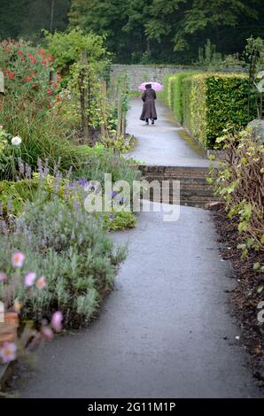 femme solitaire marchant dans un jardin formel sous la pluie avec un parapluie Banque D'Images