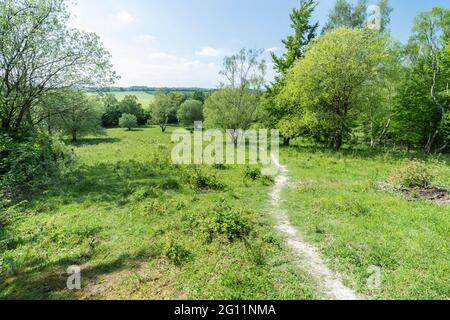 Pegsdon Hills et Hoo bit nature Reserve, Bedfordshire, Royaume-Uni Banque D'Images