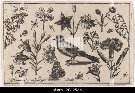 Fleurs, papillons et un oiseau; oiseaux, fleurs, insectes etc .. Fleurs telles que columbine, lilys de la vallée et de la carnation et petit oiseau. Banque D'Images