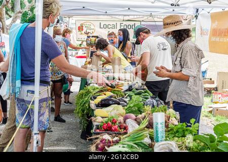 Miami Florida, Legion Park Farmers Market Day, produits locaux Afficher ventes légumes verts, vendeur vendeurs vendre, stall stalles boot Banque D'Images