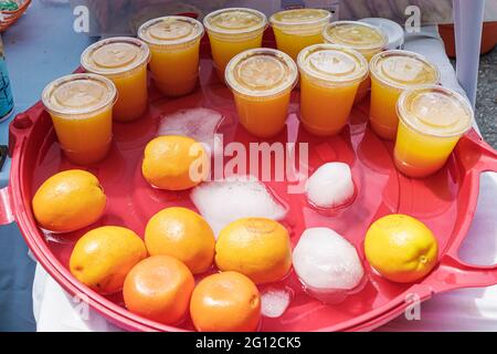 Miami Florida, Legion Park Farmers Market Day, jus d'orange frais pressé, les visiteurs voyage visite touristique sites touristiques, culture cul Banque D'Images