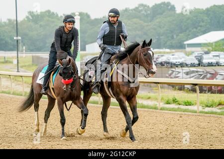 Elmont, NY, États-Unis. 4 juin 2021. 4 juin 2021 : des exercices Hot Rod Charlie en préparation aux enjeux de Belmont vendredi au festival Belmont Stakes à Belmont Park à Elmont, New York. Scott Serio/Eclipse Sportswire/CSM/Alamy Live News Banque D'Images