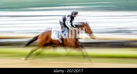 Elmont, NY, États-Unis. 4 juin 2021. 4 juin 2021 : un cheval s'exerce sur la piste d'entraînement vendredi au Belmont Stakes Festival à Belmont Park à Elmont, New York. Scott Serio/Eclipse Sportswire/CSM/Alamy Live News Banque D'Images