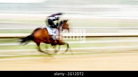 Elmont, NY, États-Unis. 4 juin 2021. 4 juin 2021 : un cheval s'exerce sur la piste d'entraînement vendredi au Belmont Stakes Festival à Belmont Park à Elmont, New York. Scott Serio/Eclipse Sportswire/CSM/Alamy Live News Banque D'Images