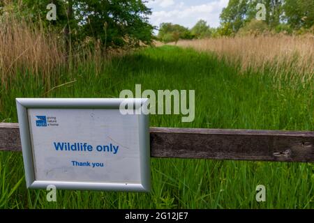 Panneau animaux sauvages uniquement RSPB Banque D'Images