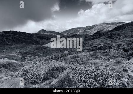 Vue de dessus du lac Kalapokhri, Sikkim, chaîne de montagnes himalayenne, Sikkim - c'est l'un des beaux lacs éloignés de Sikkim. Image en noir et blanc. Banque D'Images