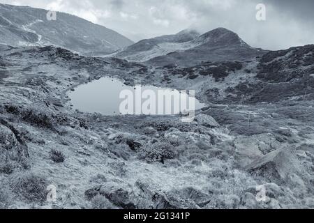 Vue d'hiver en noir et blanc du lac Kalapokhri, Sikkim, chaîne de montagnes de l'Himalaya, Sikkim - c'est l'un des beaux lacs éloignés de Sikkim. Banque D'Images