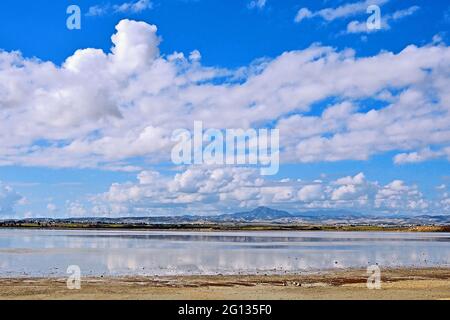 Une vue d'été des lacs de sel de Larnaka aux collines lointaines Banque D'Images