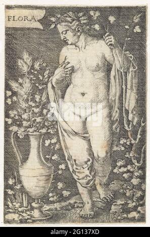 Flora. Banque D'Images