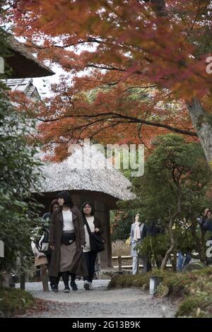 KYOTO, JAPON - 18 décembre 2019 : Kyoto, Japon - 27 novembre 2019 : les gens visitent les jardins du temple Kodaiji à Kyoto, Japon. Kodaiji est situé sur la colline au-dessus de t Banque D'Images