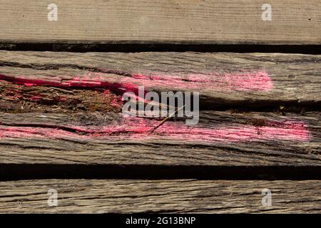 Planches en bois endommagées avec marques de peinture en aérosol rose à marquer en cas de renouvellement Banque D'Images