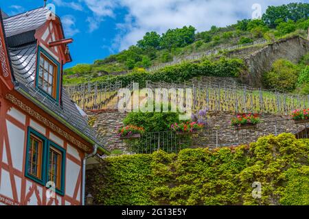 Petite ville viticole de Bacharach, vallée du Haut-Rhin moyen, patrimoine mondial de l'UNESCO, Rhénanie-Palatinat, Allemagne Banque D'Images