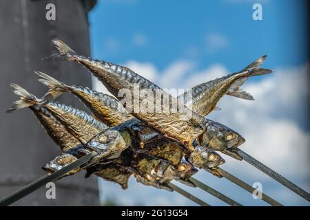 le steckerlfisch est une spécialité bavaroise de grillades, un poisson entier frais est rôti sur un bâton au-dessus d'un feu de camp ouvert. le steckerlfisch est du poisson grillé sur un bâton Banque D'Images