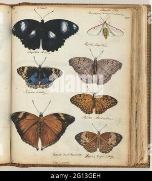 Papillons indiens. Dessin en couleur de sept papillons et moteurs javanais. Sur échelle. Avec inscription. Pièce de Jan Brandes, carnet d'esquisses DL. 1 (1808), p. 145. Banque D'Images