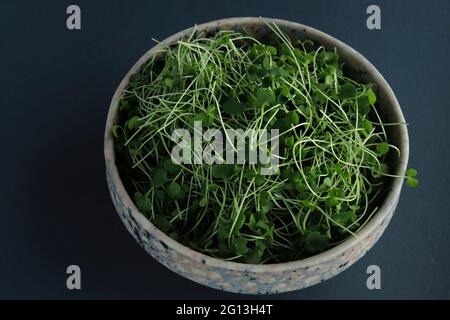 Micro-légumes verts sur une assiette en céramique. Petite salade dans un bol Banque D'Images