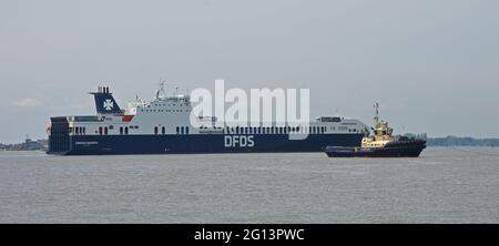 Le ferry DFDS Gardenia Seaways s'approche de Harwich Dock avec un remorqueur en avant-sol. Banque D'Images