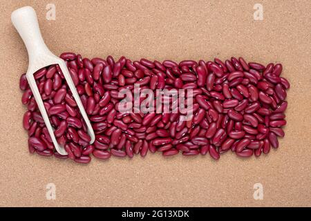 Un tas de haricots secs. Graines de haricots communs. Cultivar violet clair de légumineuse. Source de protéines. Pelle en bois, vue de dessus. Haricots rouges épars Banque D'Images
