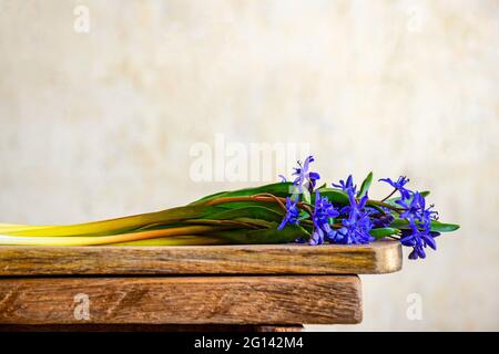 Bouquet de fleurs sauvages bleues sur un vieux panneau en bois. Style de vie rustique. Gros plan. Mise au point sélective. Copier l'espace. Banque D'Images