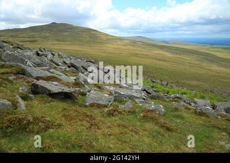 Oui vue de West Mill tor, Dartmoor , Devon, Angleterre, Royaume-Uni Banque D'Images