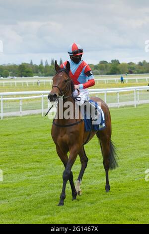 Ray Dawson on croire en l'amour avant le début d'une course à l'hippodrome de York. Banque D'Images