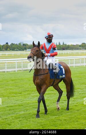 Ray Dawson on croire en l'amour avant le début d'une course à l'hippodrome de York. Banque D'Images