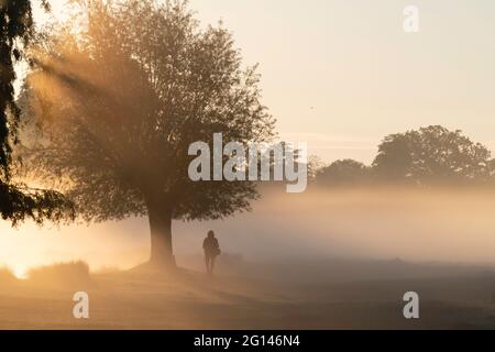 Le lever du soleil crée une silhouette d'une personne marchant près d'un arbre dans la brume du matin Banque D'Images