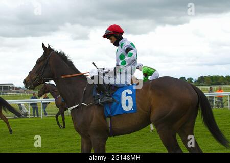 Jockey Graham Lee sur Green Planet avant le début d'une course à l'hippodrome de York. Banque D'Images