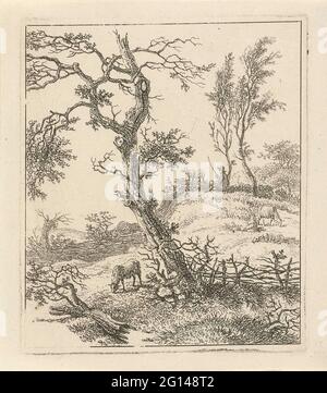 Paysage avec berger sur la colline. Un paysage vallonné avec un mouton brut à côté d'un arbre au premier plan. En arrière-plan, un berger est sur une colline. Banque D'Images
