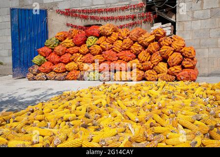 Cornes et poivrons séchant dans le village, Kirghizistan