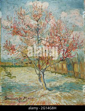 Vincent Van Gogh - Pink Peach Trees souvenir de mauve Banque D'Images