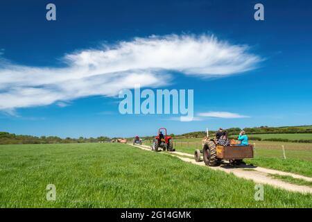 HOLSWORTHY, DEVON, ANGLETERRE - MAI 30 2021 : nombreux tracteurs d'époque différents, véhicules agricoles en rallye. Vue arrière en bon paysage. Banque D'Images