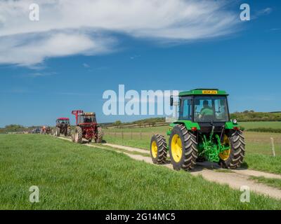 HOLSWORTHY, DEVON, ANGLETERRE - MAI 30 2021 : nombreux tracteurs d'époque différents, véhicules agricoles en rallye. Vue arrière. Banque D'Images