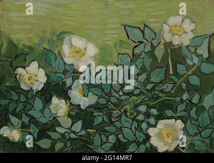 Vincent Van Gogh - Roses sauvages Banque D'Images