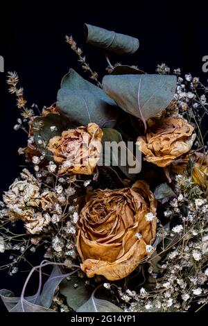 Beau bouquet de fleurs sèches sur fond noir.véritable composition unique de la vie fixe. Motif carte à fleurs avec effet vintage sombre. Banque D'Images