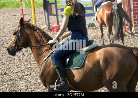 Cheval et cavalier sur un cheval Banque D'Images