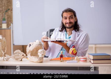 Jeune paléontologue devant le tableau blanc Banque D'Images