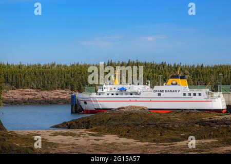 Blacks Harbour, N.-B., Canada - le 16 mai 2021 : le traversier Grand Manan V pour passagers et véhicules a amarré à Blacks Harbour à marée basse. Vue à distance, ciel bleu. Banque D'Images