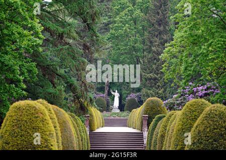 Hambourg, Allemagne. 03ème juin 2021. Des rhododendrons fleuris sont visibles au cimetière d'Ohlsdorf. Les rhododendrons fleurissent dans toutes les couleurs imaginables. Plus de 200 espèces différentes poussent dans le cimetière du parc. Credit: Marcus Brandt/dpa/Alay Live News Banque D'Images