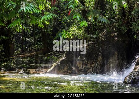 De beaux rayons de soleil qui brillent à travers la canopée de la jungle dans la rivière qui coule d'une cascade Banque D'Images