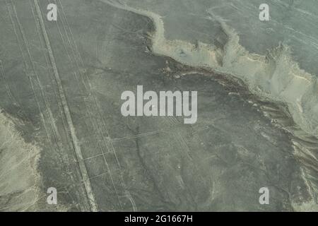 Vue aérienne du Geoglyphe Hummingbird aux lignes Nazca au Pérou Banque D'Images