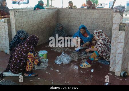 Marché du poisson à Bandar Abbas, province de Hormozgān, Iran. Les femmes de Bandari épluchant des crevettes sur le sol. Banque D'Images