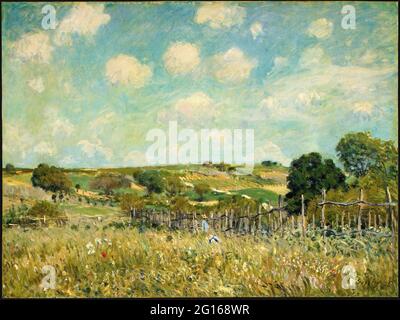 Alfred Sisley - Meadow 1875 Banque D'Images