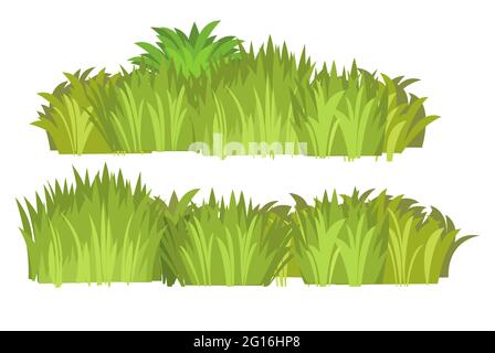 Définir. Gros plan d'une prairie avec une herbe dense. Plantes sauvages vertes rurales. Style de dessin animé. Conception plate. Pelouse non coupée. Illustration vectorielle. Art Illustration de Vecteur